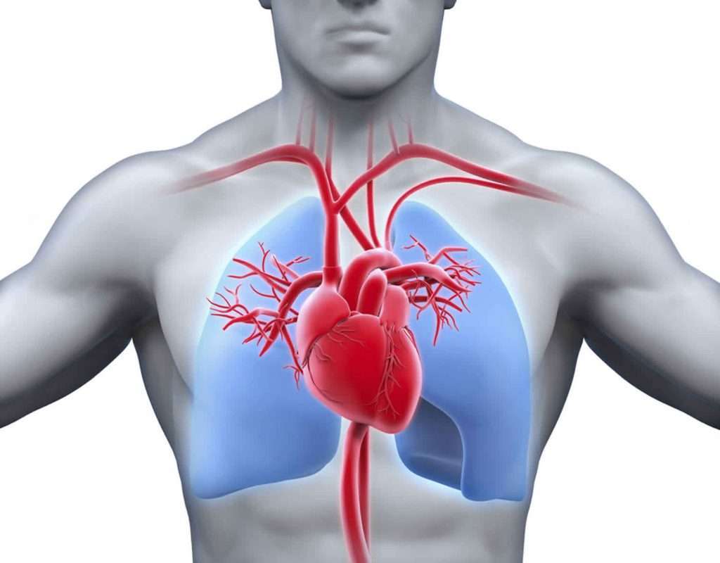 Cardiopulmonary-disease